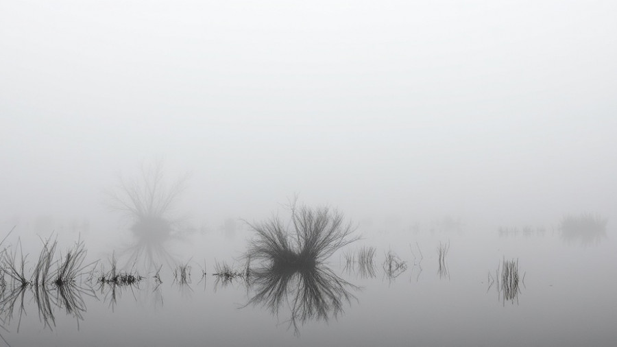 Foggy mirror html