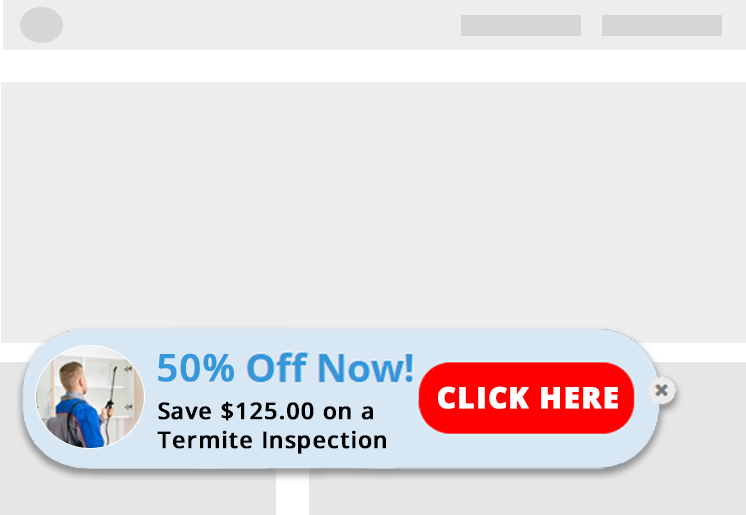 PEST CONTROL special offer popup on social post article
