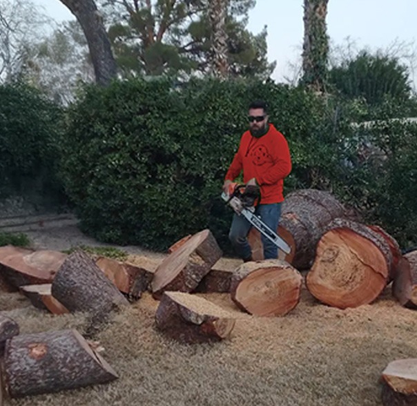 Owner of Beaver Brothers Tree Service using a chainsaw to cut large tree logs during professional tree removal service