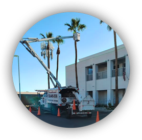 Beaver Brothers Tree Service crew performing commercial palm tree trimming with bucket truck outside a business complex.