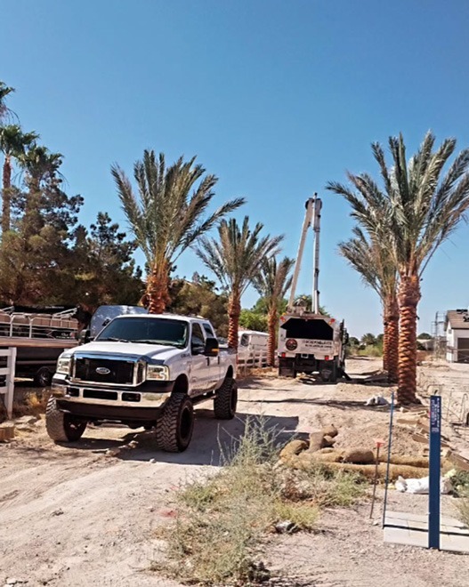 Palm tree installation at a residential construction site by Beaver Brothers Tree Service using trucks and crane equipment.