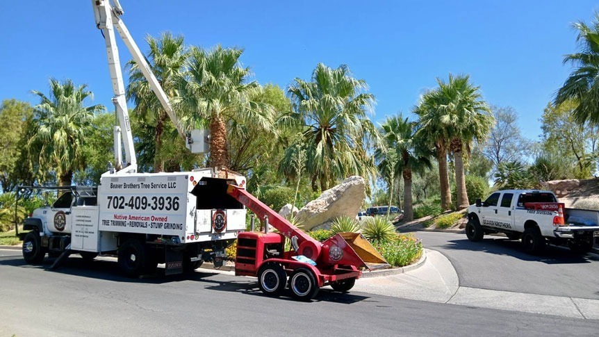 Beaver Brothers Tree Service trucks and equipment performing palm tree trimming in a landscaped community