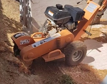 Professional stump removal service by Beaver Brothers Tree Service on HOA property using stump grinding machine.