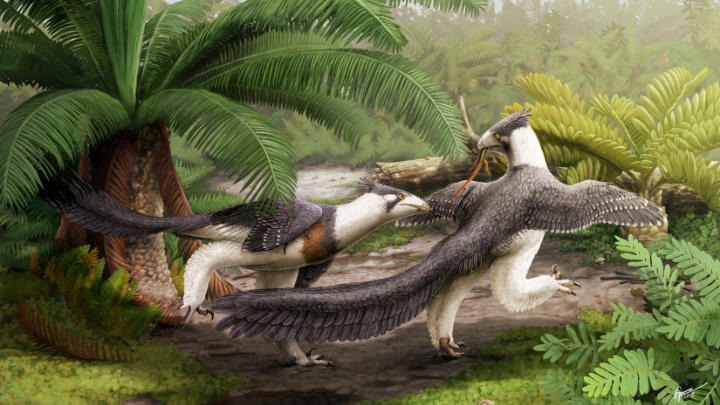 A New Look at Old-Fashioned Dinosaurs