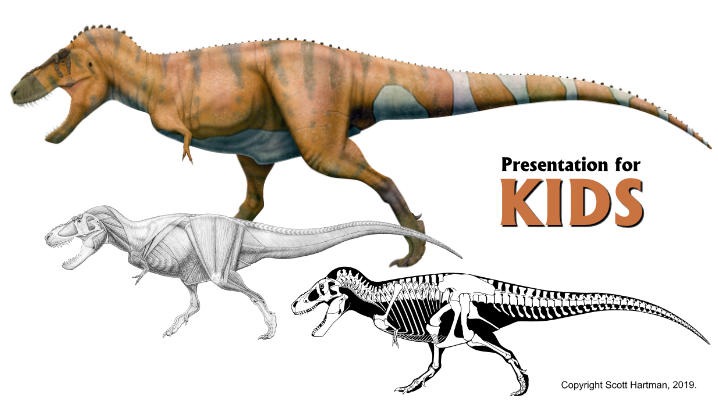 Presentation of Dinosaurs: TV vs Real Life
