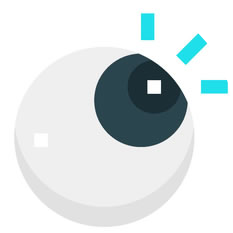Eye Infection