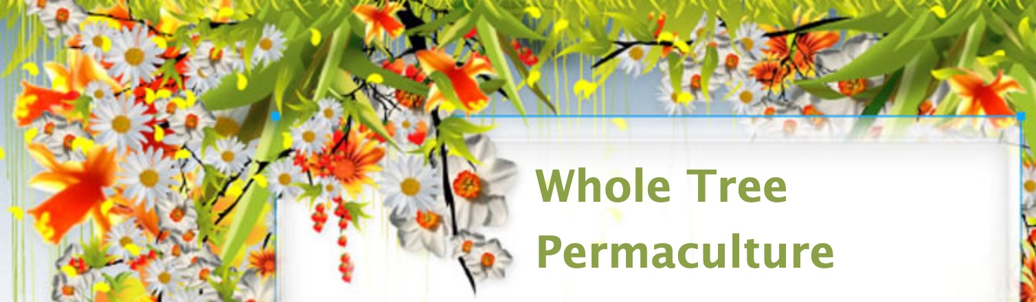 Whole Tree Permaculture