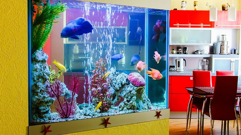whole home water system