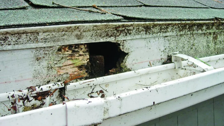 rotten wood repair memphis tn
