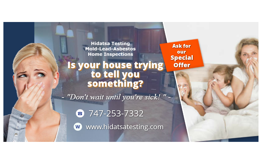 Family having trouble breathing should choose a mold inspection service los angeles