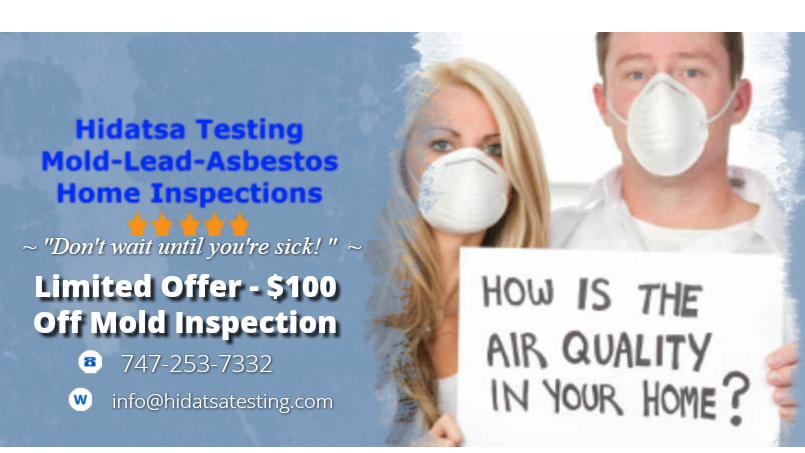 mold inspection service los angeles