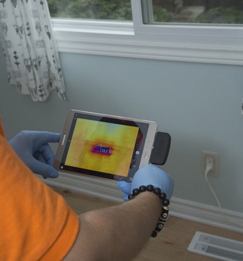mold inspection service los angeles