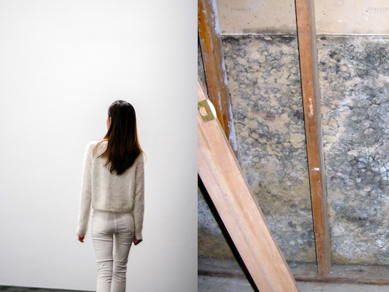 homeowner misconceptions about mold