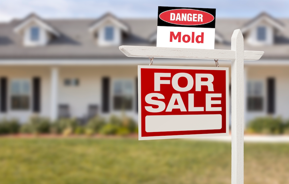 homeowner selling home with mold mistakes