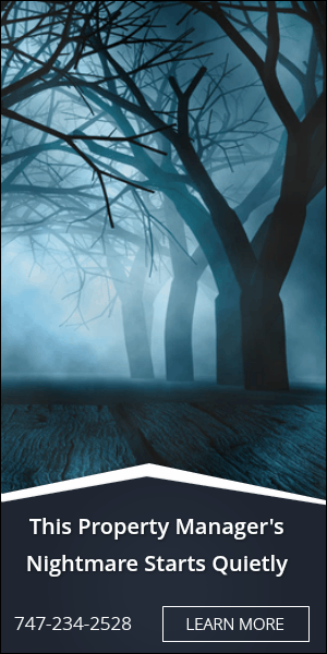 nightmare forest with fog