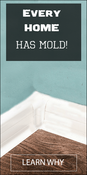 Every Home Has Mold