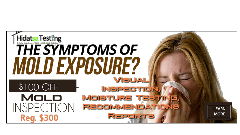 Coupon for $100 off mold inspection service