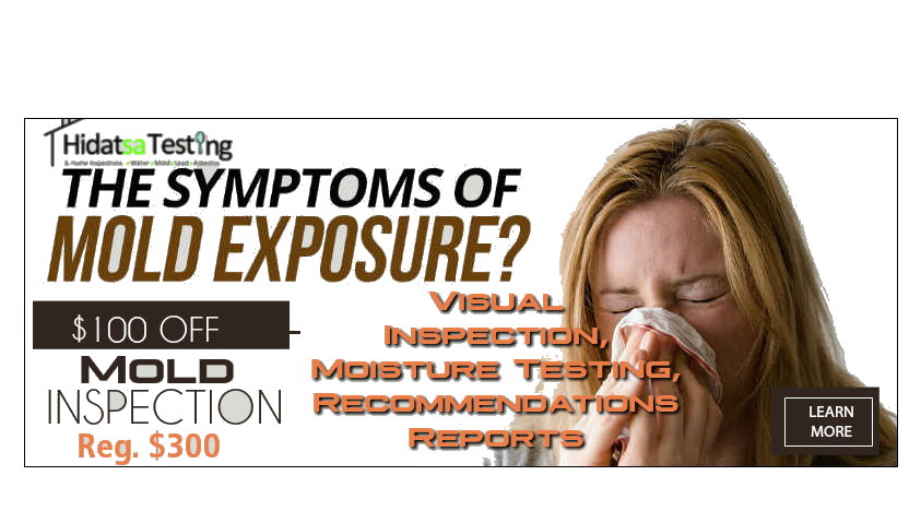Coupon for $100 off mold inspection