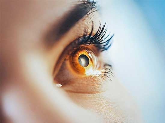woman's eye