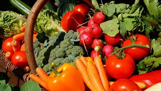 The Growing Landscape of Local Food in Springdale