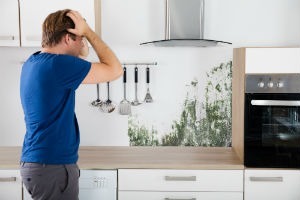 Mold Removal Rancho Penasquitos, CA