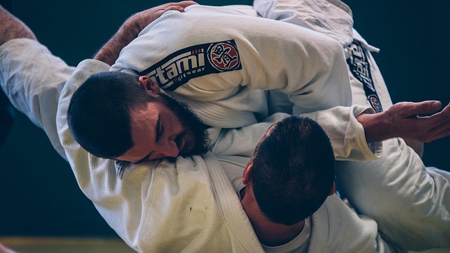Brazilian Jiu-Jitsu grappling in Springdale, two martial artists in action.