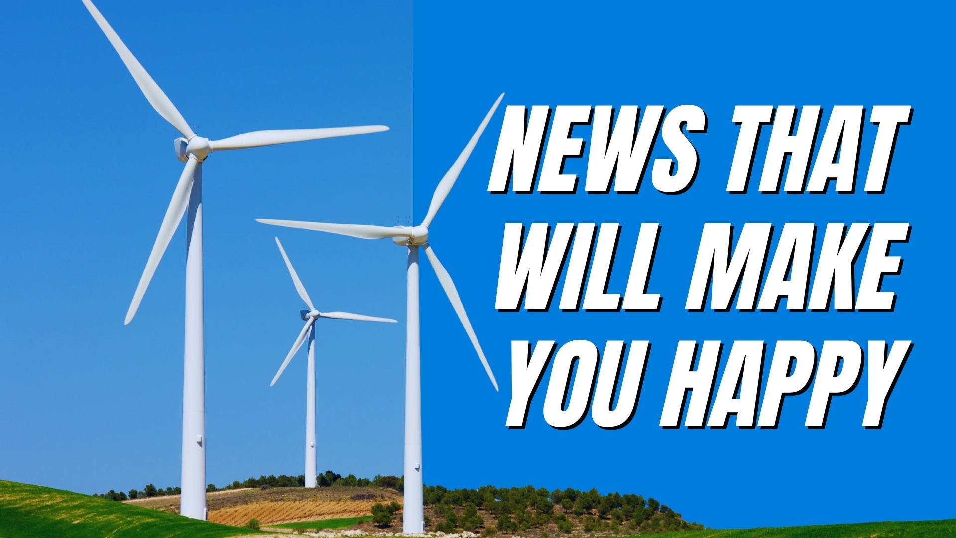 Vibrant wind farm with towering turbines under a clear blue sky, showcasing Environmental Leadership.