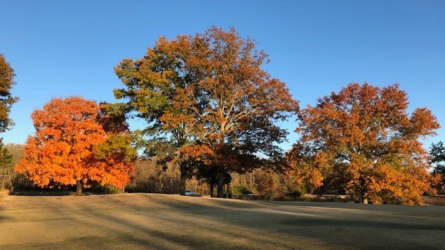 Northwest Arkansas Fall