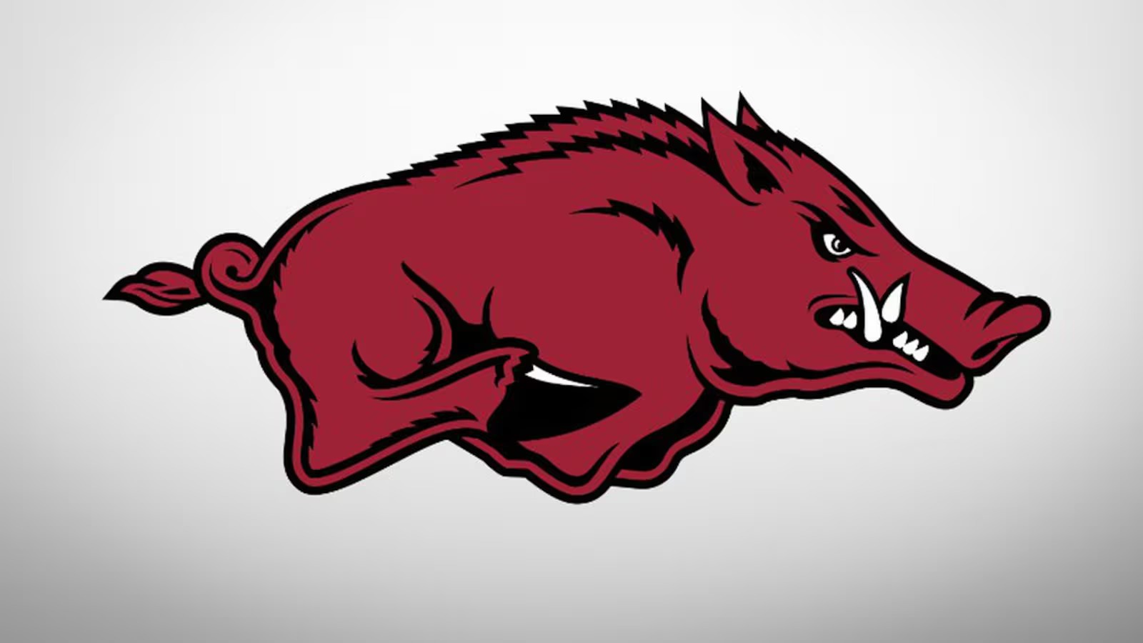 Golden Spikes Award winner Arkansas baseball player celebrates in stadium.