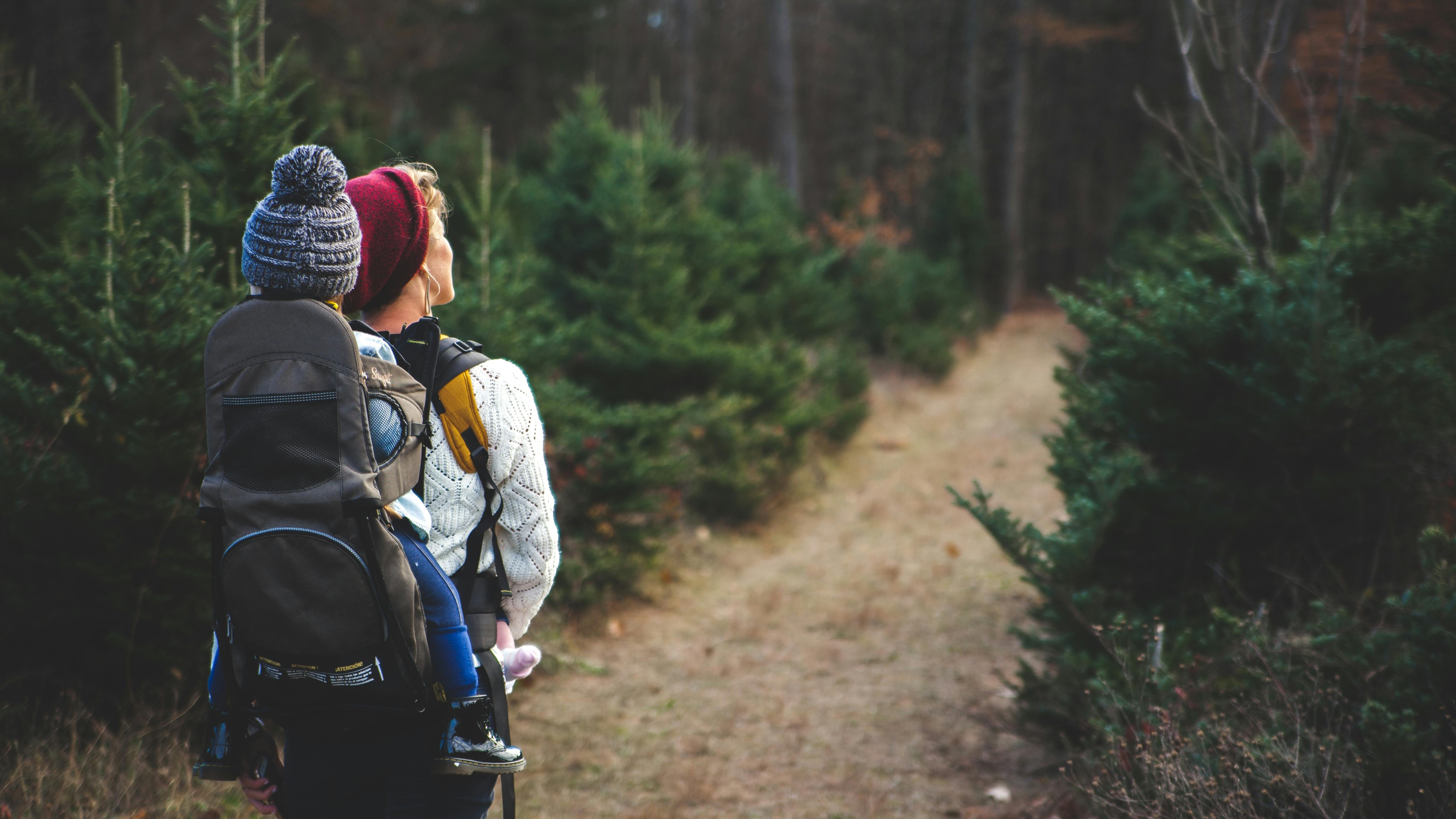 Northwest Arkansas Receives $17 Million for Trail Systems: A Step Towards Community Connectivity