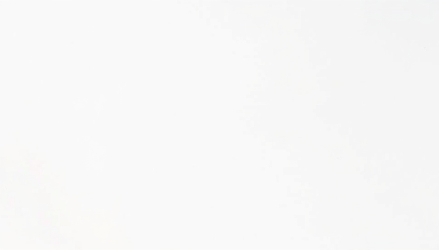 Plain white image.