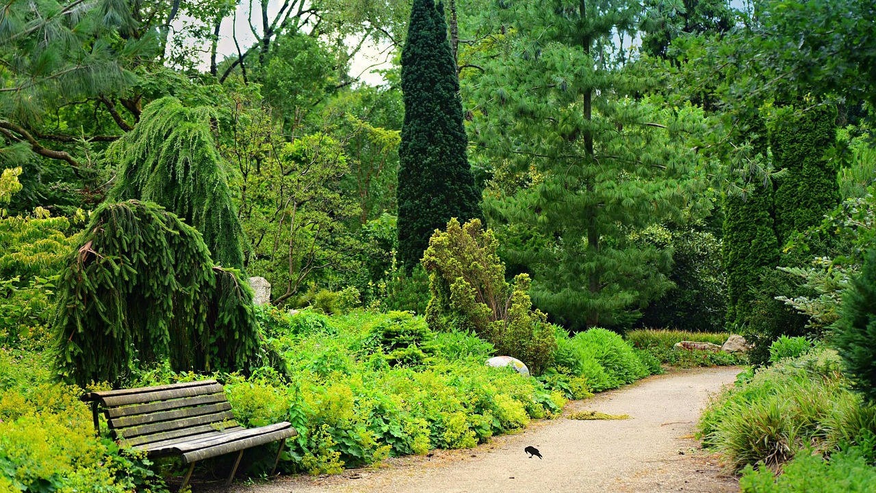 Tree Health NJ
