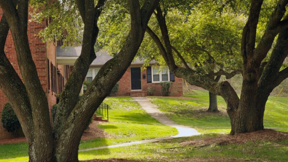 Tree-lined apartment neighborhood in Charlotte with residents strolling