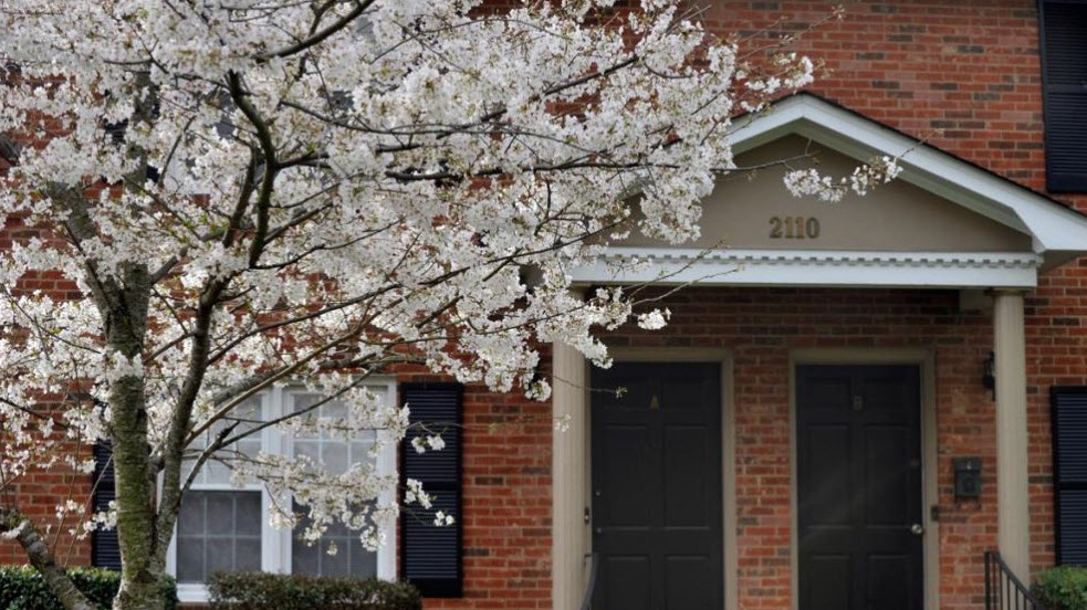 Historic and modern Charlotte apartment neighborhood with garden spaces
