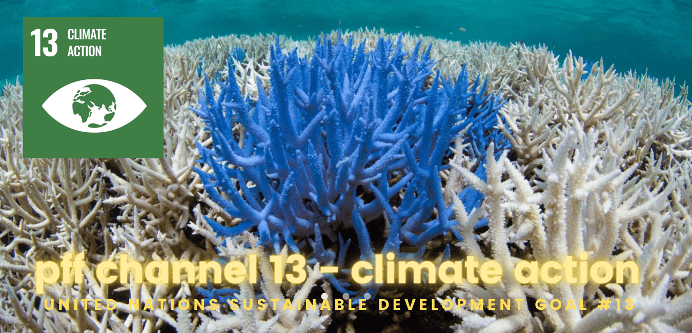 UN Channel 13, climate action, environment, sustainable development