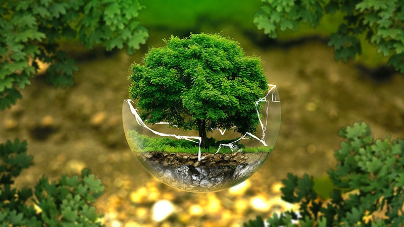 Pacific Crest Landscaping Environmental