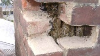 bay area bee busters gallery pic