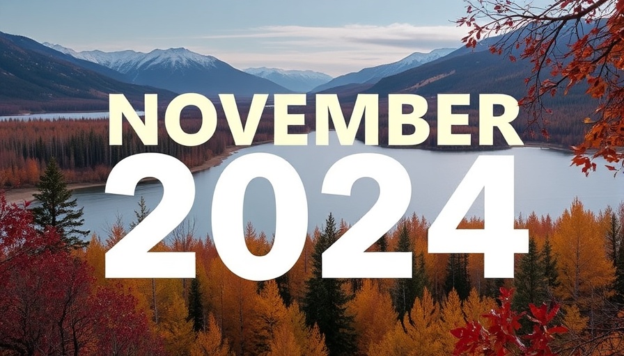 November Newsletter 2024