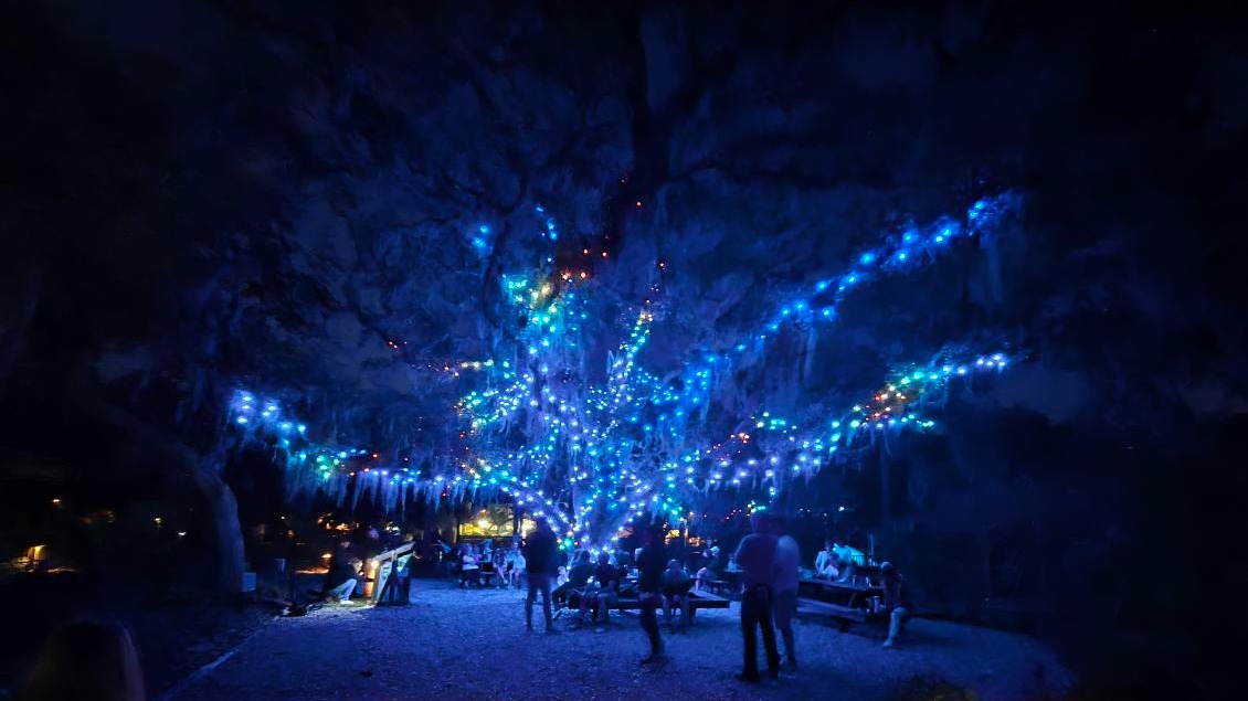 Serene lakeside at Camp Impact at sunrise, campers reflecting, praying or reading, cypress trees draped in Spanish moss, mist rising—church camp in Florida natural setting.