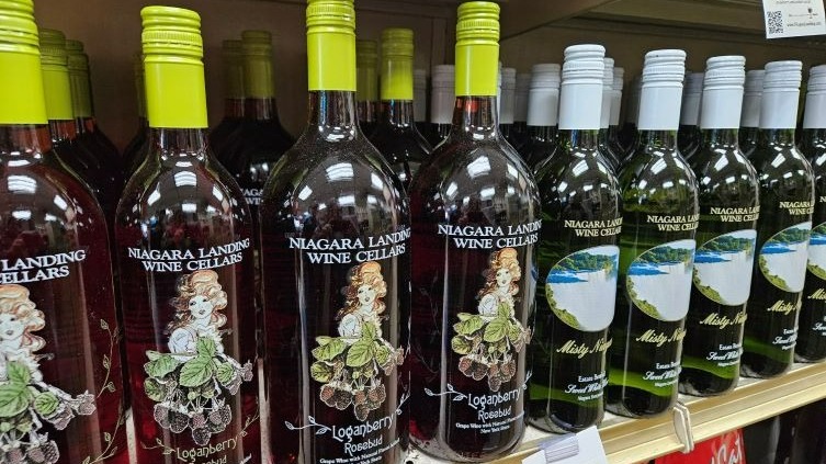 Selecting unique wine at Buffalo boutique wine store with exclusive bottle display.