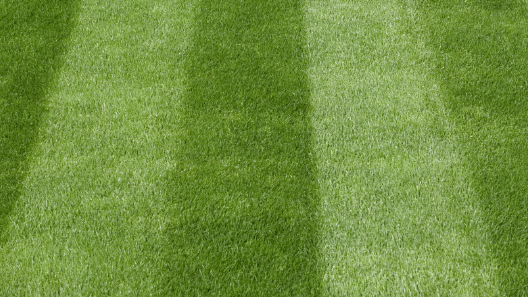 Lawn Mowing Service in Allentown