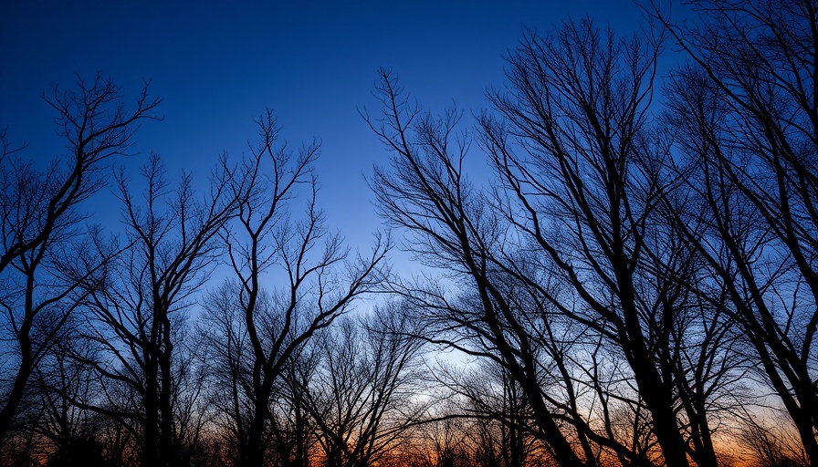 Twilight tree silhouettes, calming dusk view, Ayurveda for Grief.