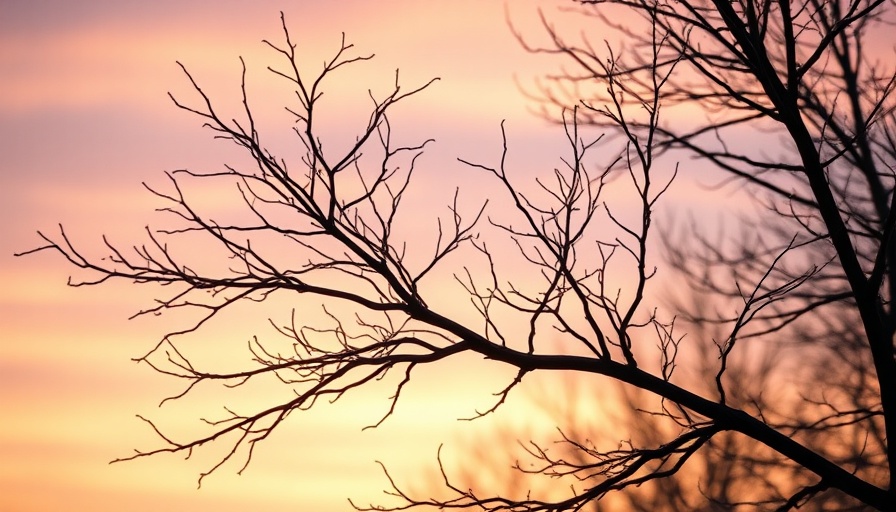 Serene tree branches in a pastel sunset sky, evoking slow living and mindfulness.