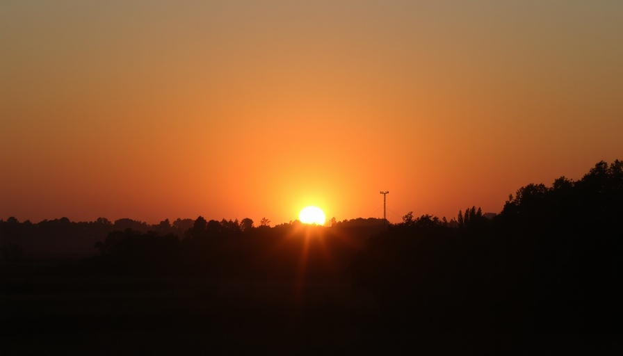 Heart-shaped sunset over trees symbolizing Ayurveda and grief.