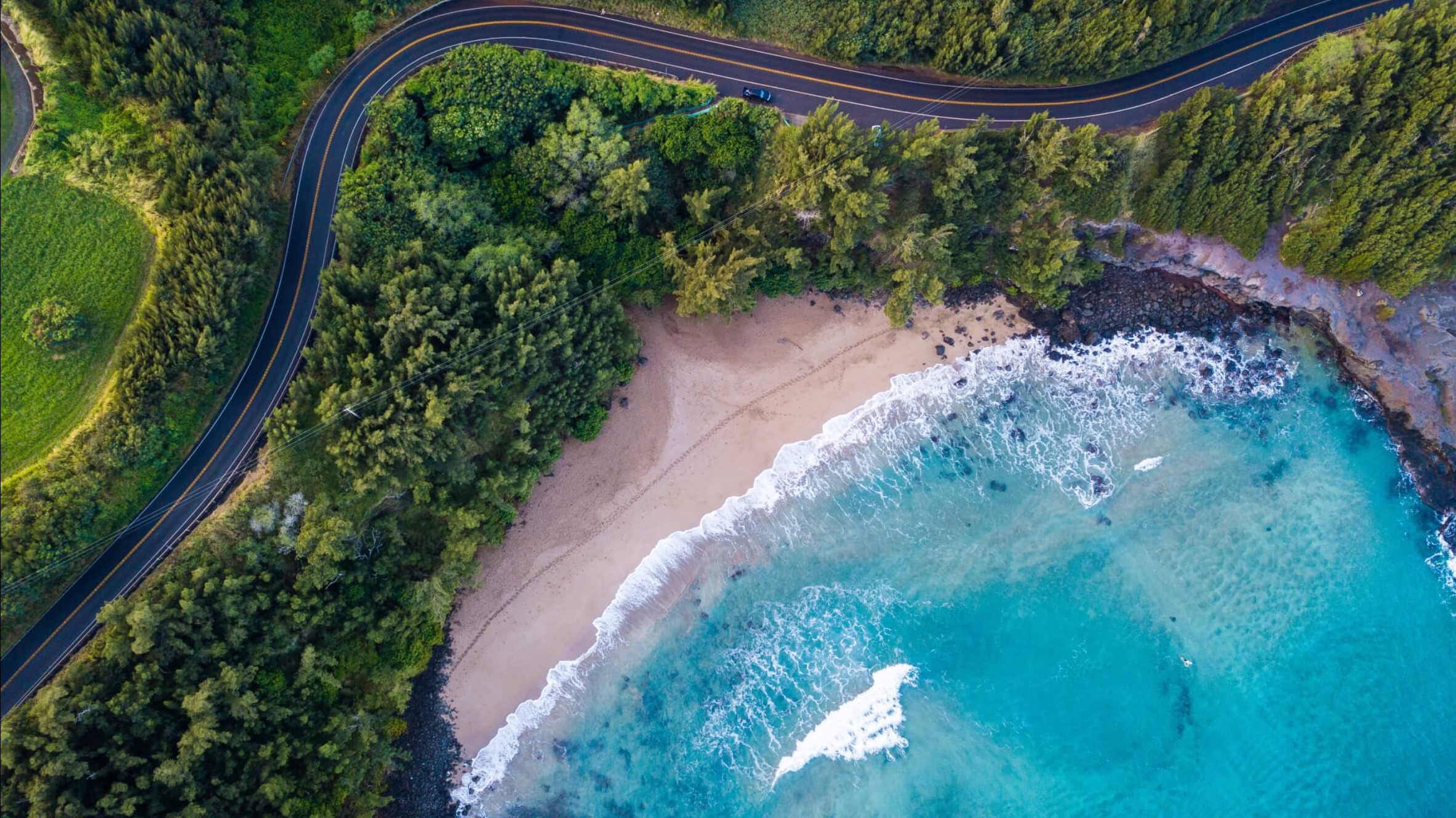 Trip to Maui by Travel Agent Customers