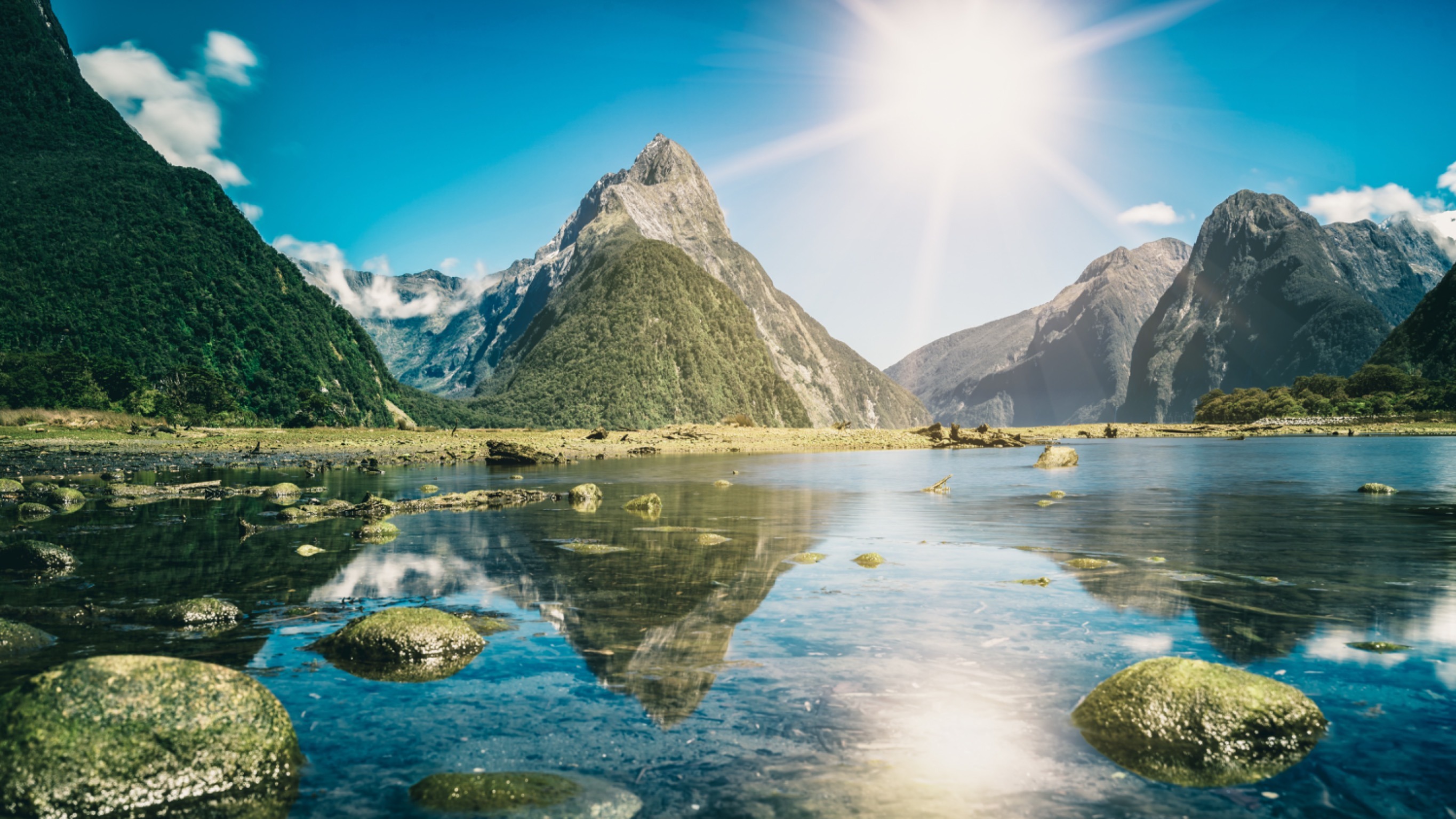 Our Clients' Trip to New Zealand