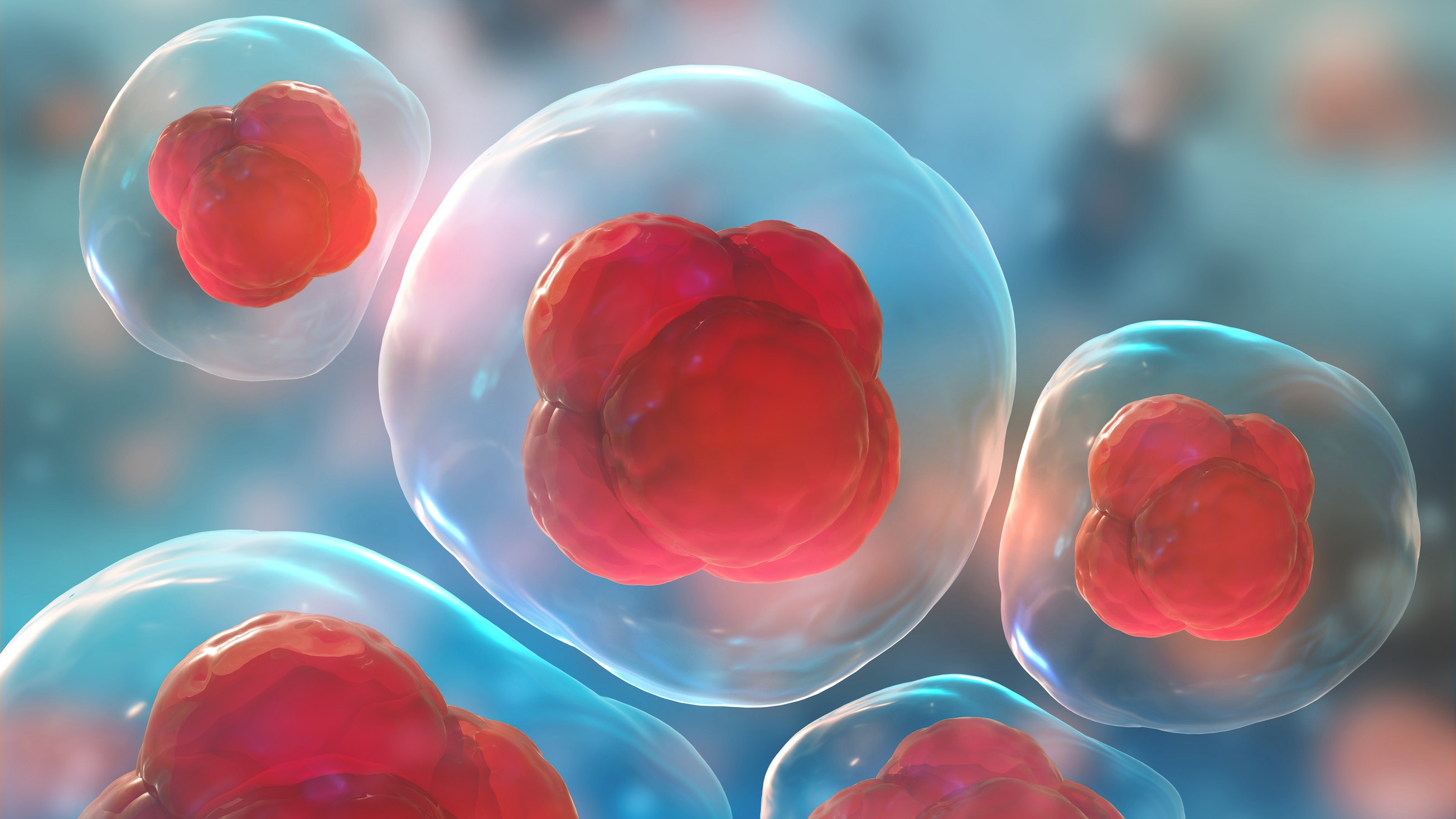 stem cell therapy under microscope