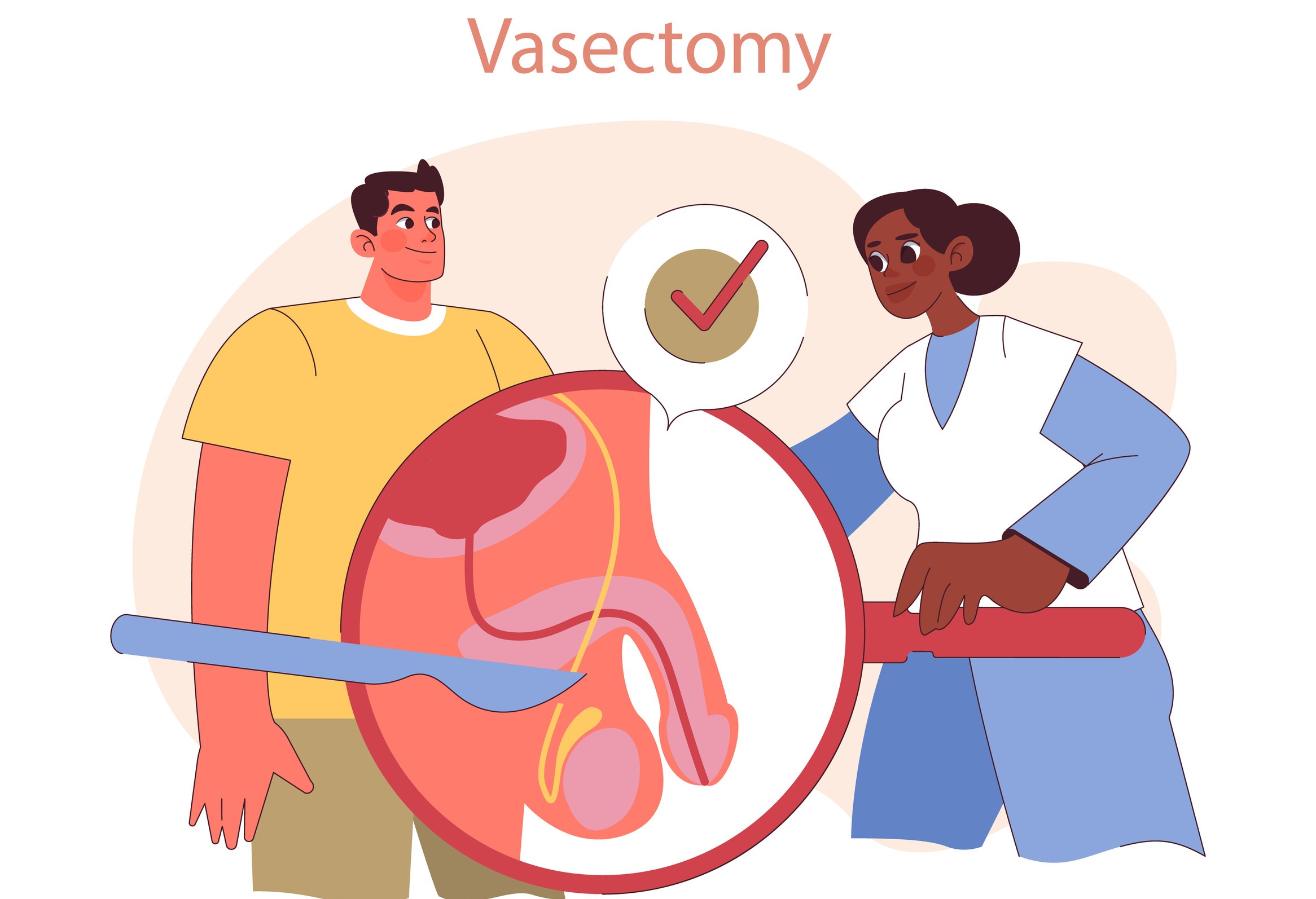 Vasectomy men's health insurance awareness pie chart.