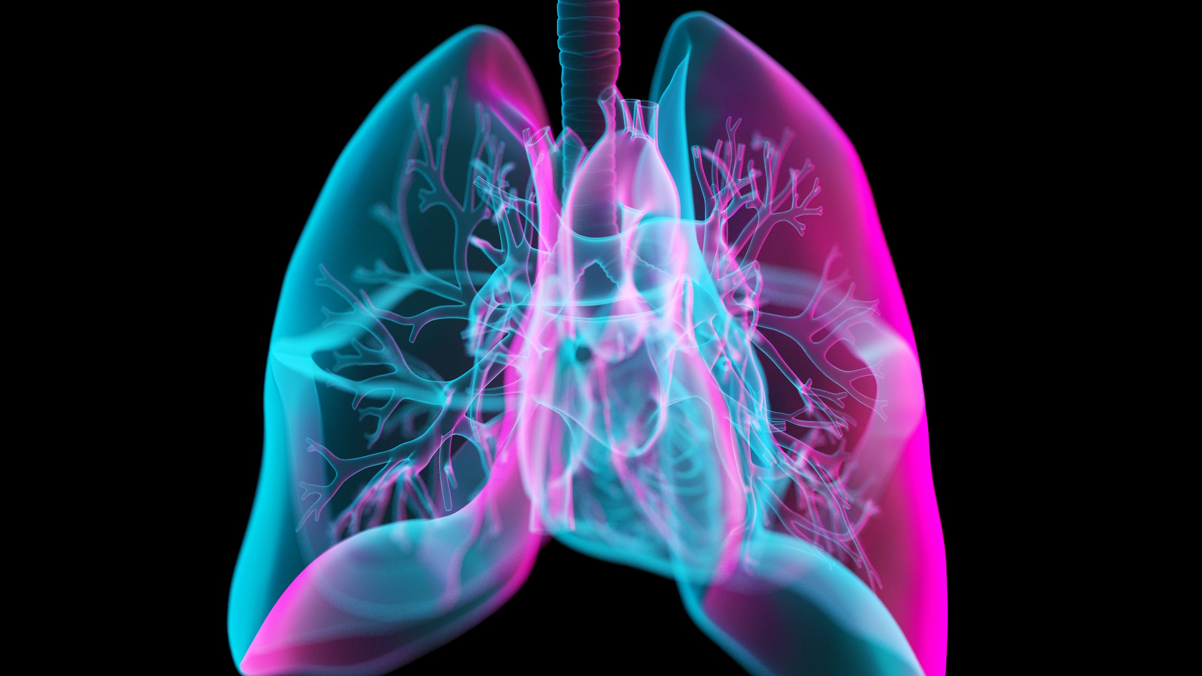 X-ray showing lungs with COPD symptoms, medical analysis highlighting diet impact.