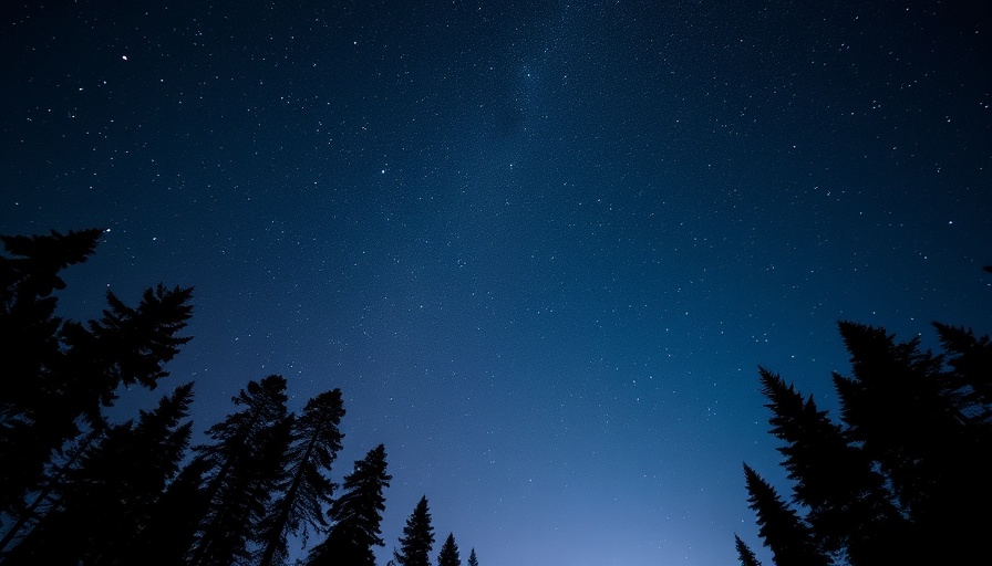 Starry sky with silhouetted trees under a Super New Moon Solar Eclipse.